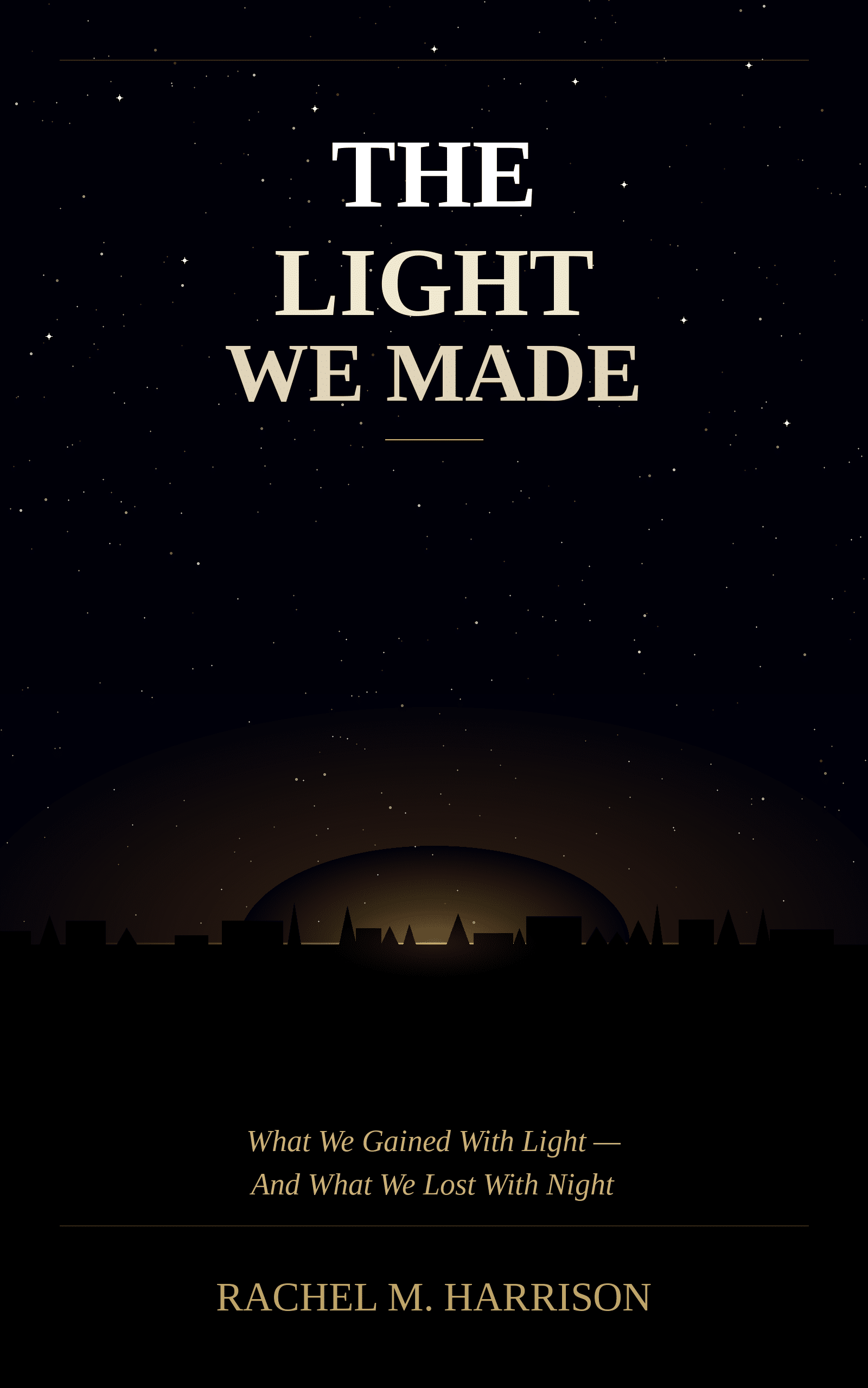 The Light We Made book cover